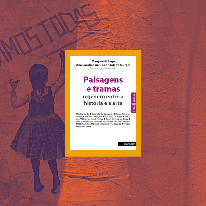 Paisagens e tramas: o gênero entre a história e a arte